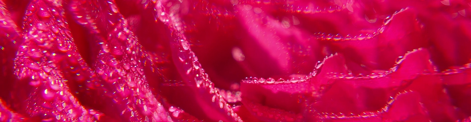 Wellbeing Shower Gels