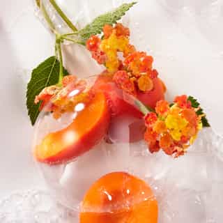 Wellbeing Shower Gel