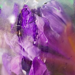 Feuille de Thé Wellbeing Fragrant Water
