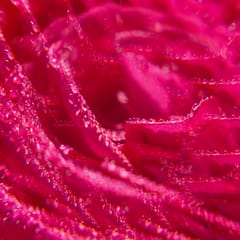 Rose Wellbeing Shower Gel