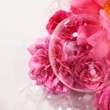 Rose Wellbeing Shower Gel