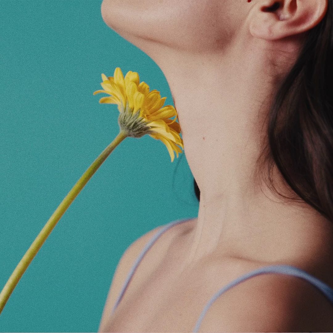 The Art of Perfume