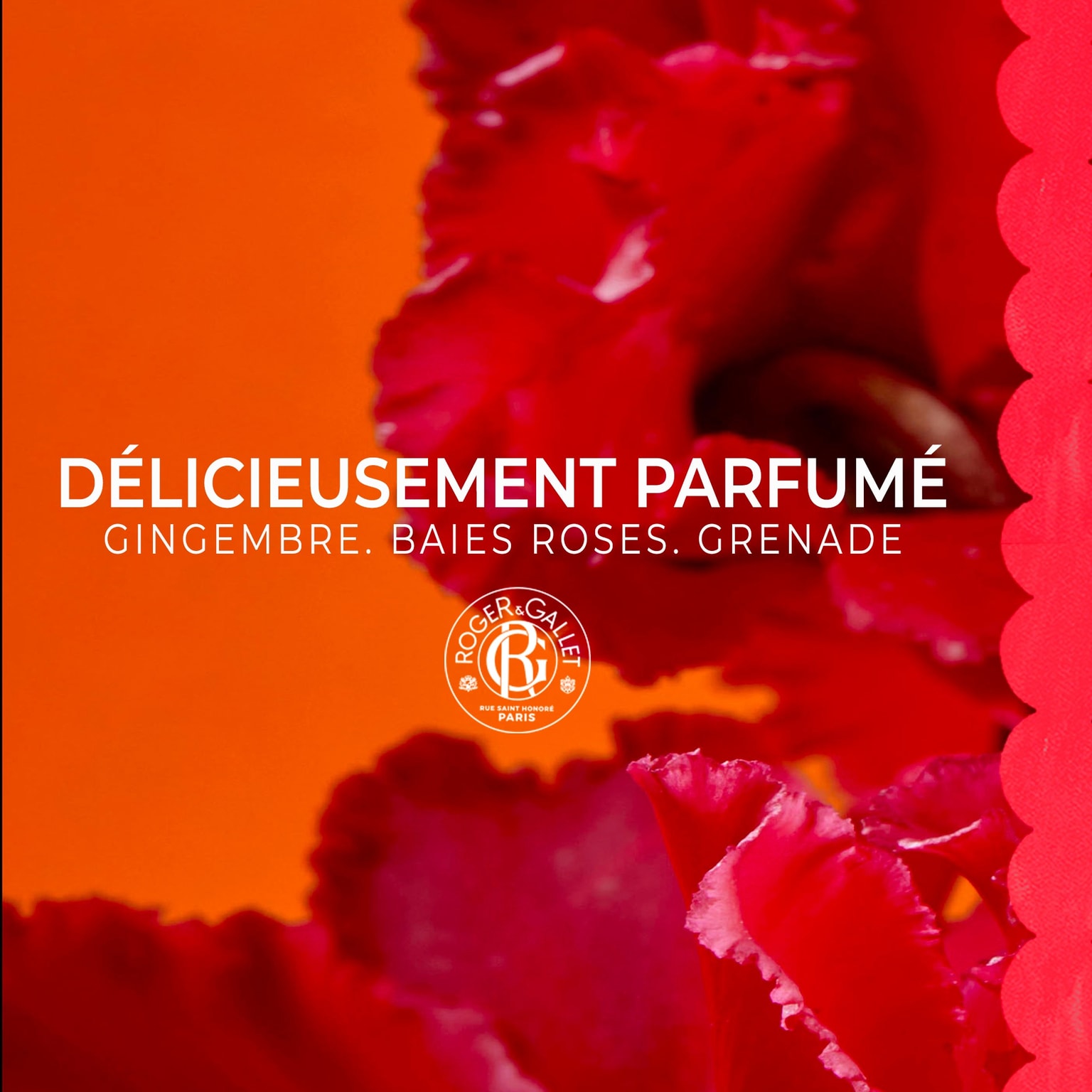 Gingembre Rouge Wellbeing Body Lotion