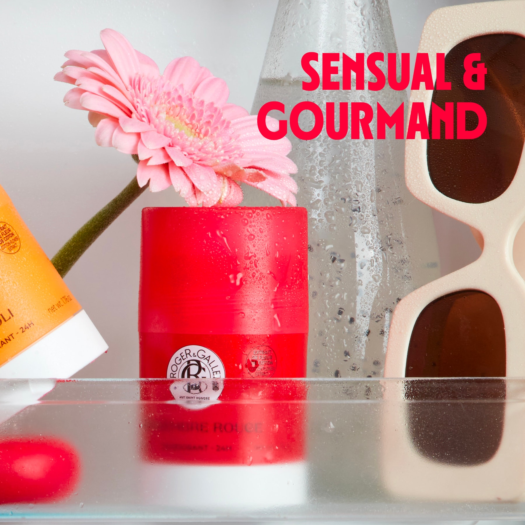 Gingembre Rouge Solid Deodorant