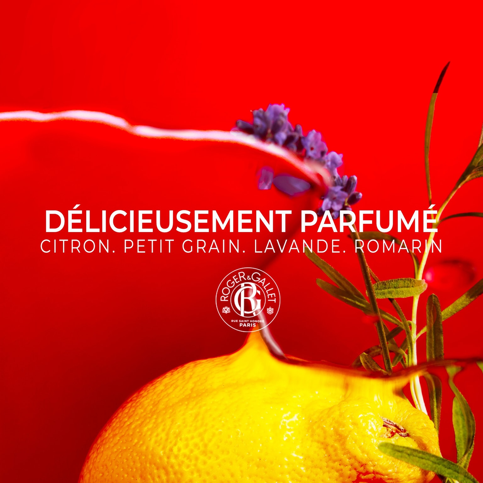 Jean-Marie Farina Solid deodorant