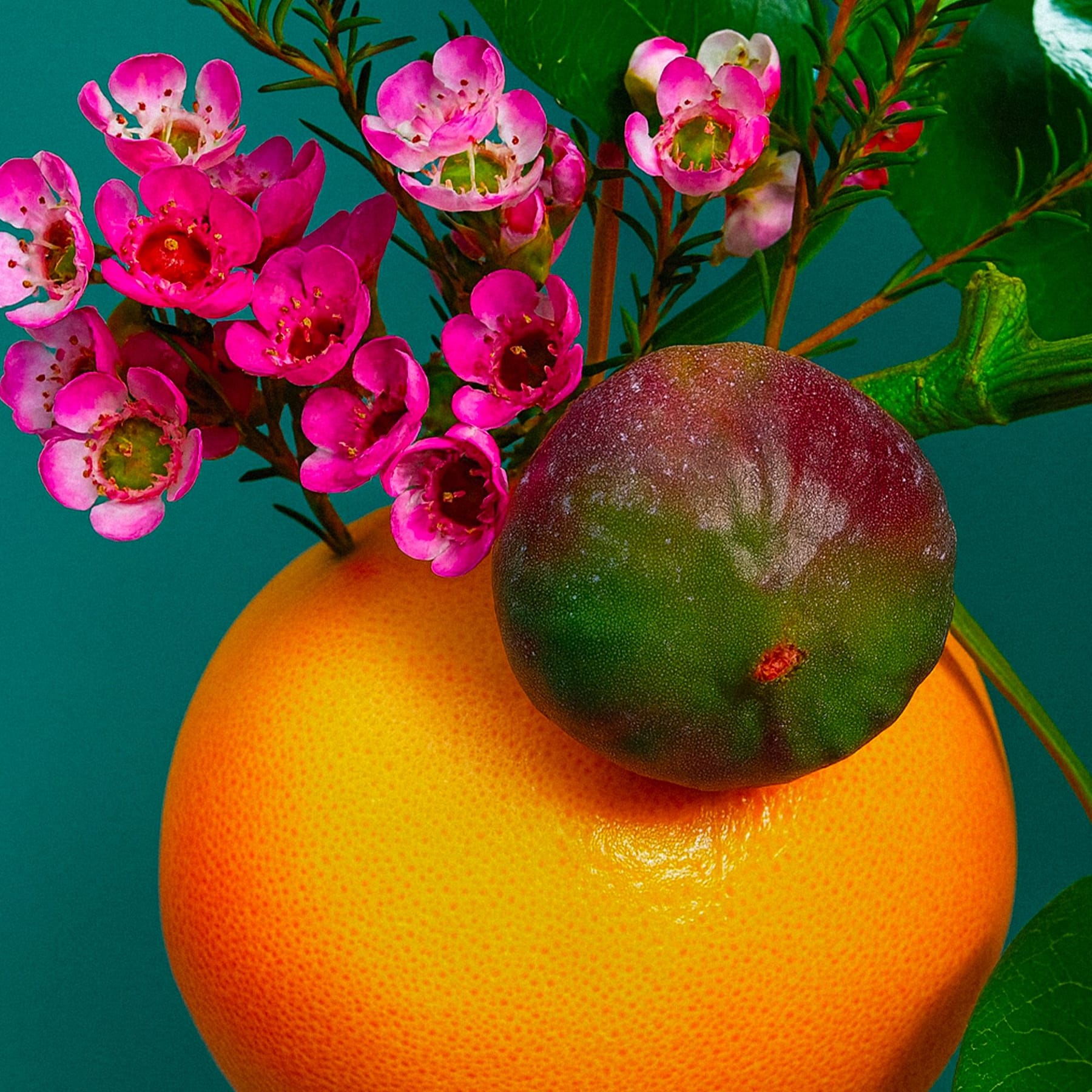 Naturally energizing